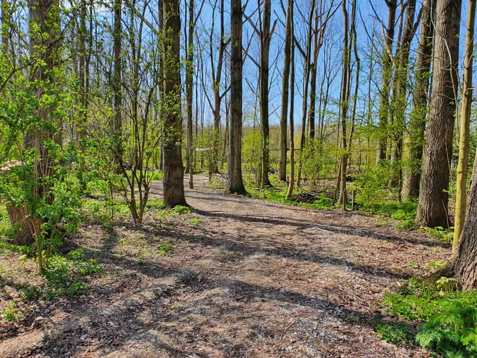 activiteiten terrein Buitenplaats Vlaardingen
