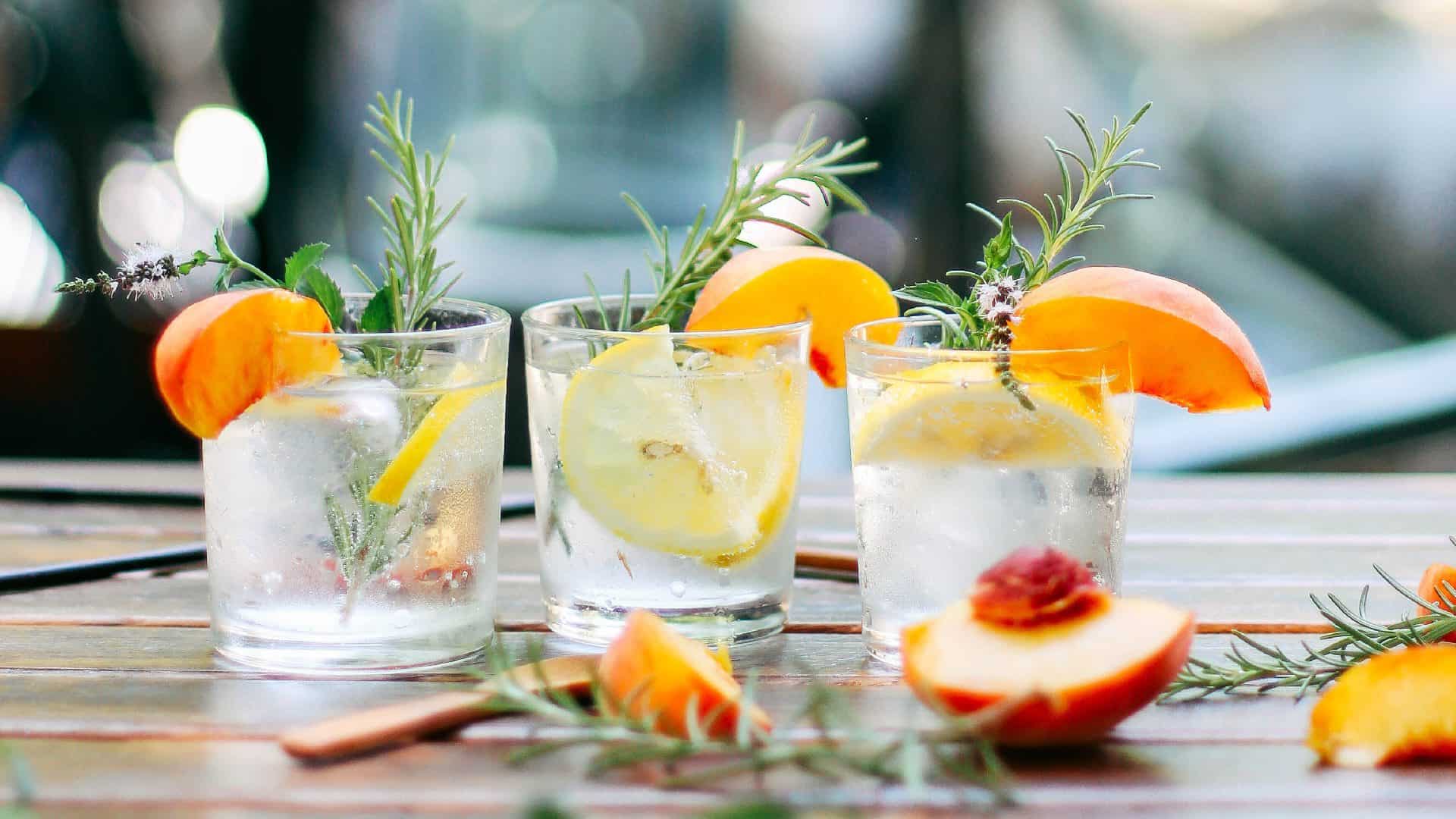 Cocktailworkshop bij Buitenplaats Vlaardingen