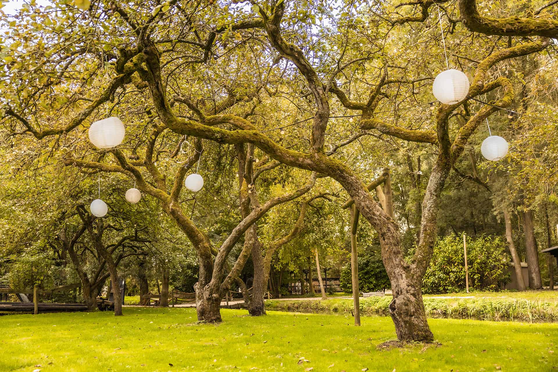 Uitvaart / condoleance buitenlocatie boomgaard