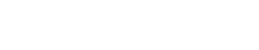 Evenementenlocatie Buitenplaats Vlaardingen