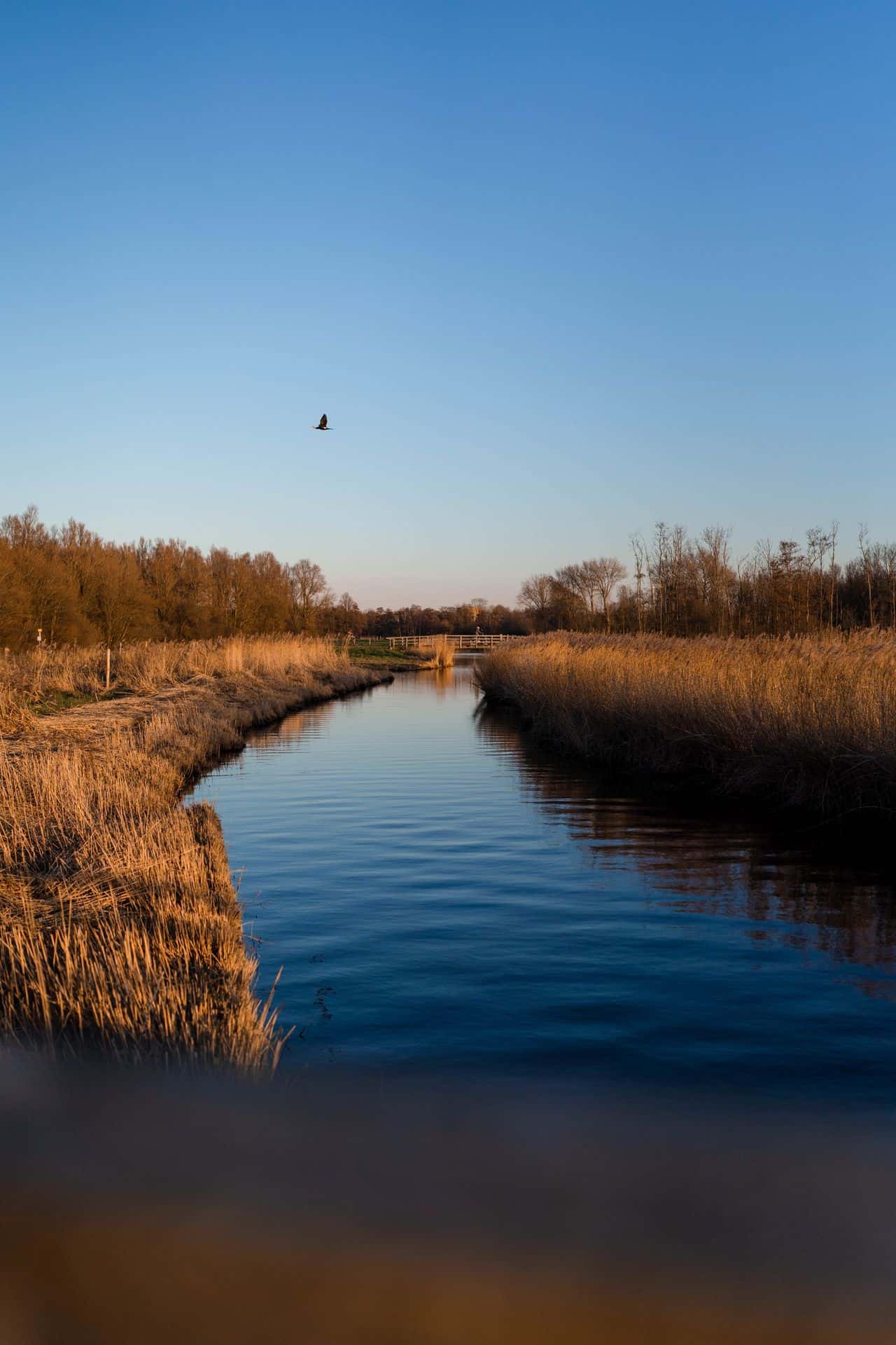 buitenlocatie natuurgebied midden delfland
